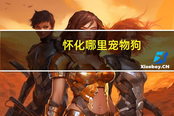 怀化哪里宠物狗