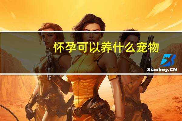 怀孕可以养什么宠物