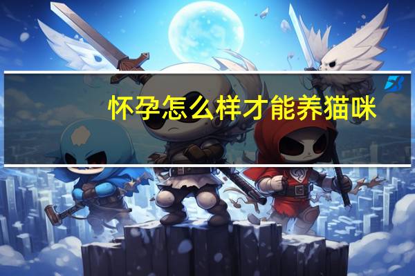 怀孕怎么样才能养猫咪