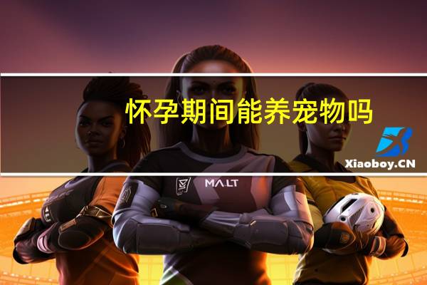 怀孕期间能养宠物吗