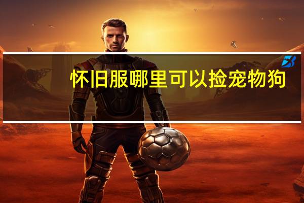 怀旧服哪里可以捡宠物狗