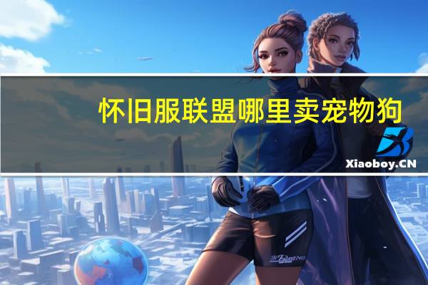 怀旧服联盟哪里卖宠物狗