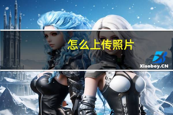 怎么上传照片（怎么上传照片）