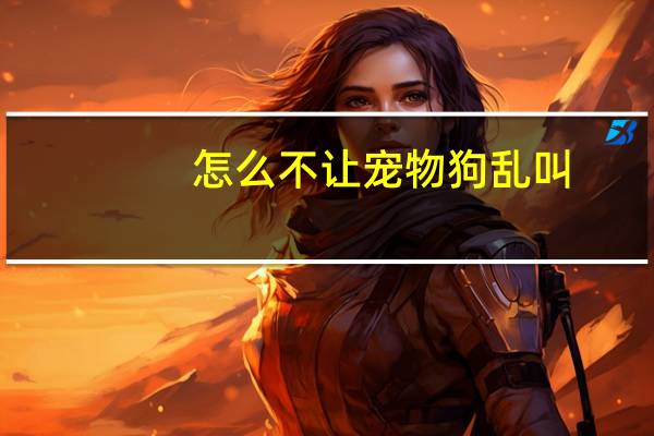 怎么不让宠物狗乱叫