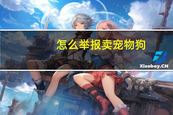 怎么举报卖宠物狗