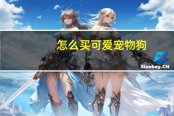 怎么买可爱宠物狗