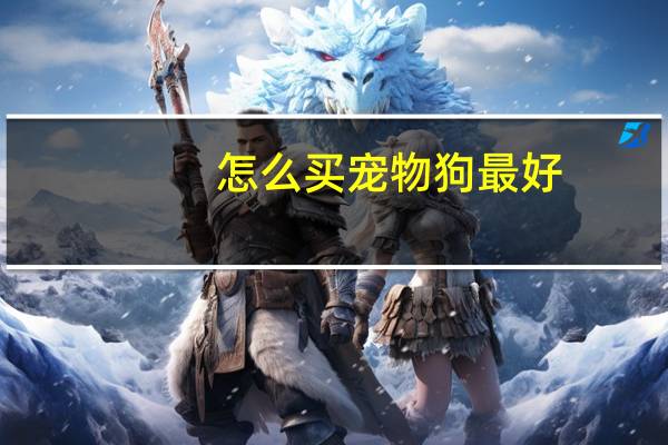怎么买宠物狗最好