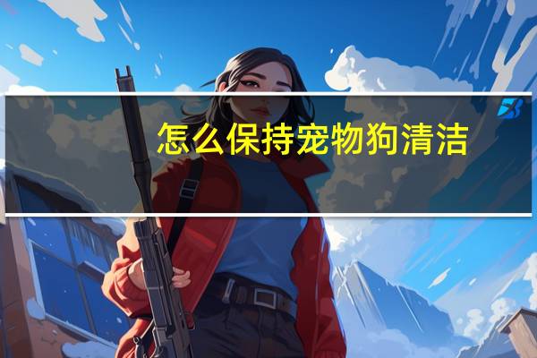 怎么保持宠物狗清洁