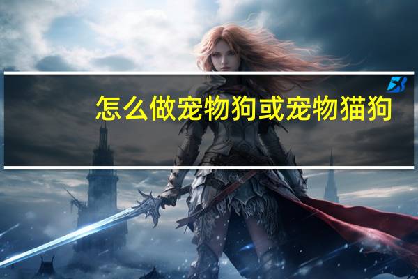 怎么做宠物狗或宠物猫狗