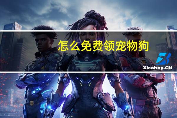 怎么免费领宠物狗