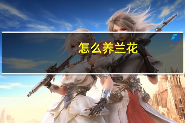 怎么养兰花