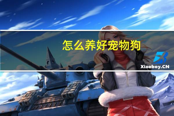 怎么养好宠物狗