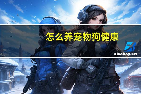 怎么养宠物狗健康