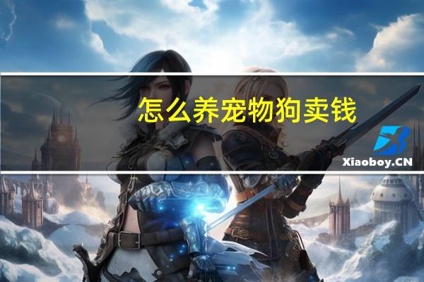 怎么养宠物狗卖钱
