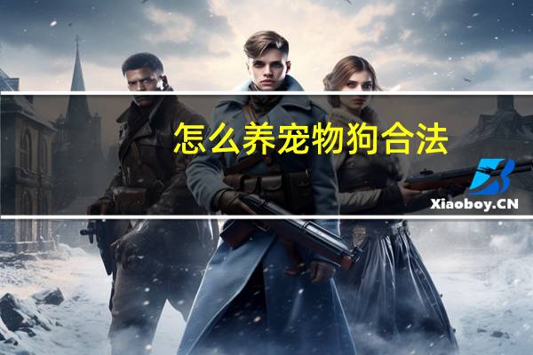 怎么养宠物狗合法