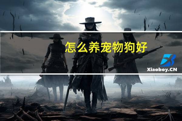 怎么养宠物狗好