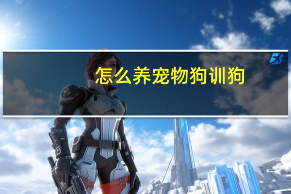 怎么养宠物狗训狗