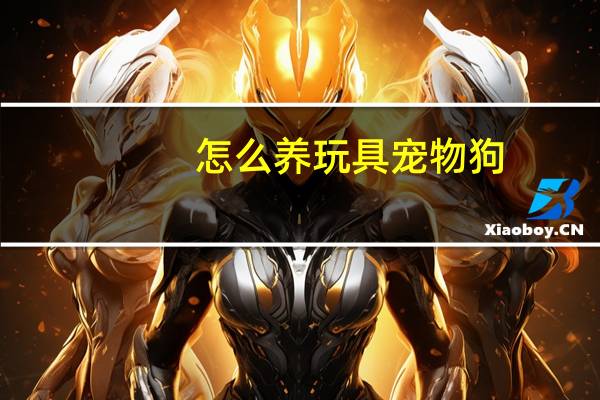 怎么养玩具宠物狗