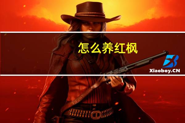 怎么养红枫