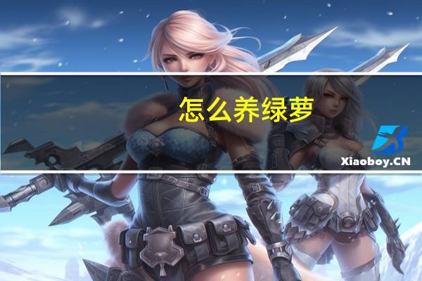 怎么养绿萝