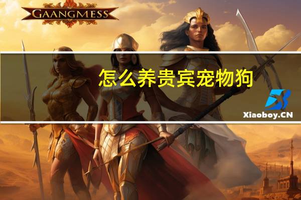 怎么养贵宾宠物狗