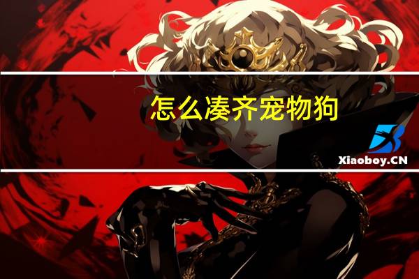 怎么凑齐宠物狗