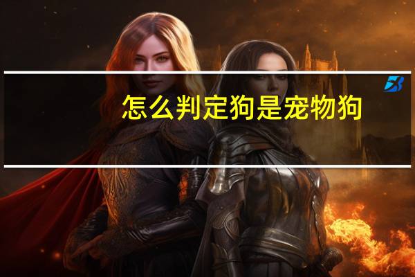 怎么判定狗是宠物狗