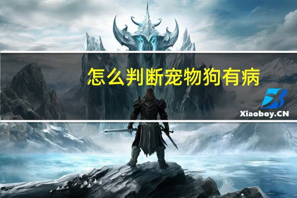 怎么判断宠物狗有病
