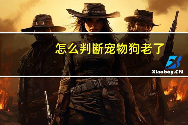 怎么判断宠物狗老了