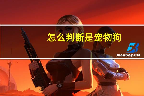 怎么判断是宠物狗