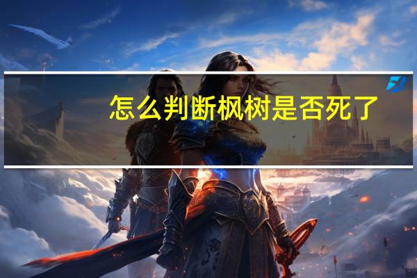 怎么判断枫树是否死了