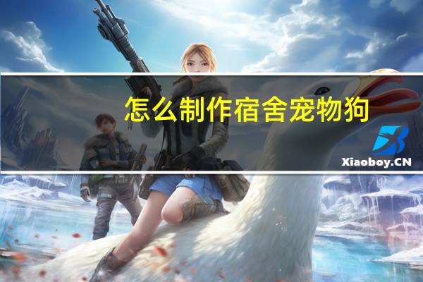 怎么制作宿舍宠物狗