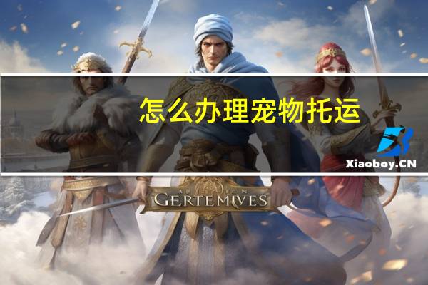 怎么办理宠物托运