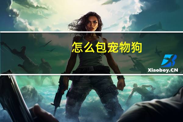 怎么包宠物狗