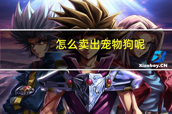 怎么卖出宠物狗呢