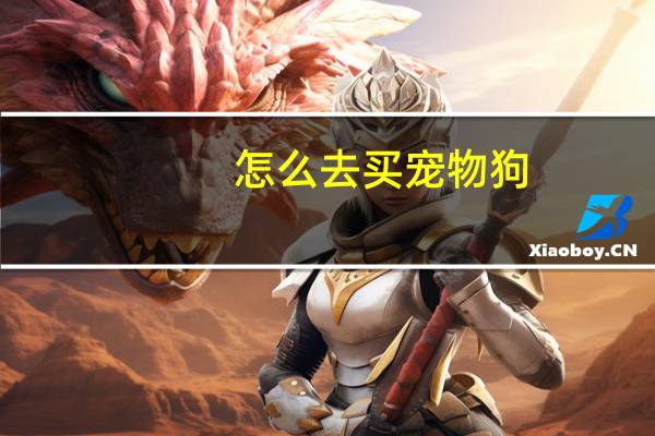 怎么去买宠物狗