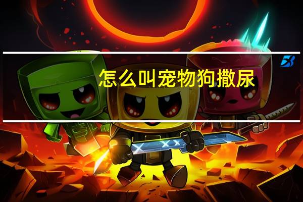 怎么叫宠物狗撒尿