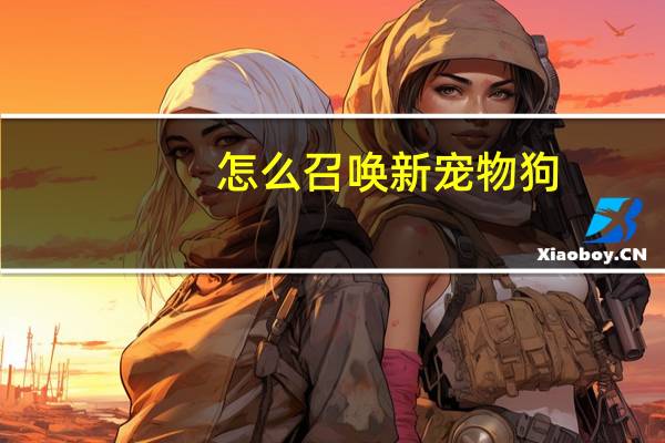 怎么召唤新宠物狗
