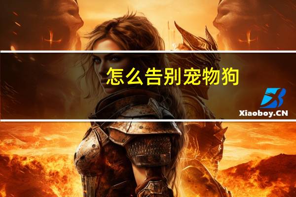 怎么告别宠物狗