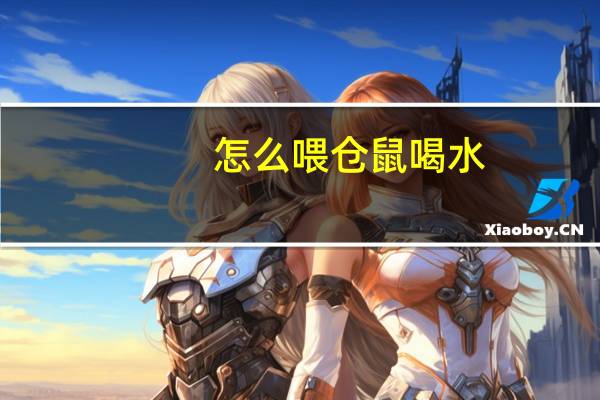 怎么喂仓鼠喝水