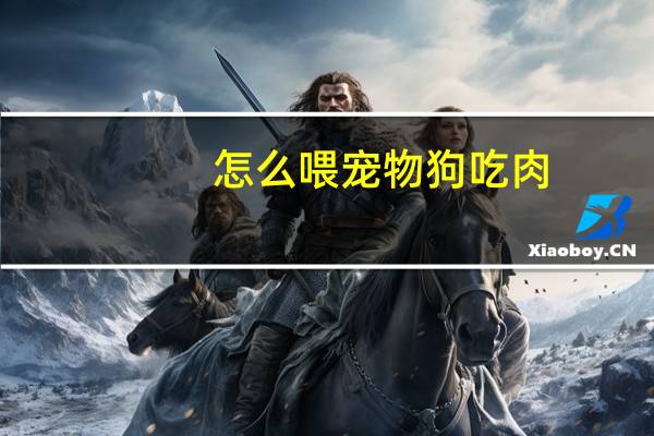 怎么喂宠物狗吃肉