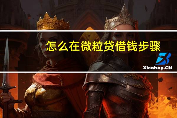 怎么在微粒贷借钱步骤（微粒贷怎么申请贷款借钱的步骤有哪些）