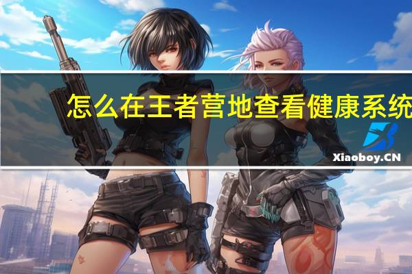 怎么在王者营地查看健康系统