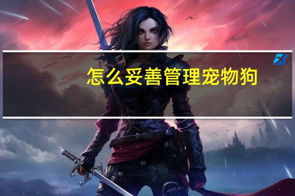 怎么妥善管理宠物狗