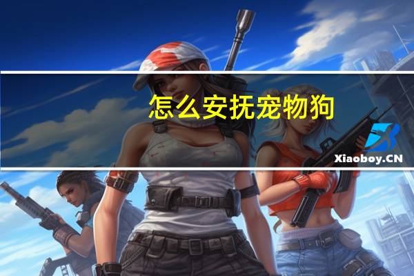 怎么安抚宠物狗