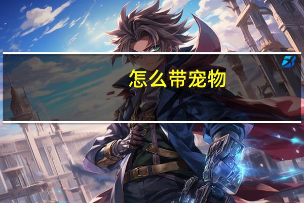 怎么带宠物