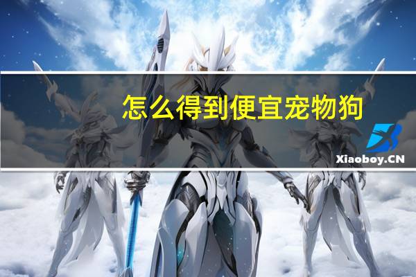 怎么得到便宜宠物狗