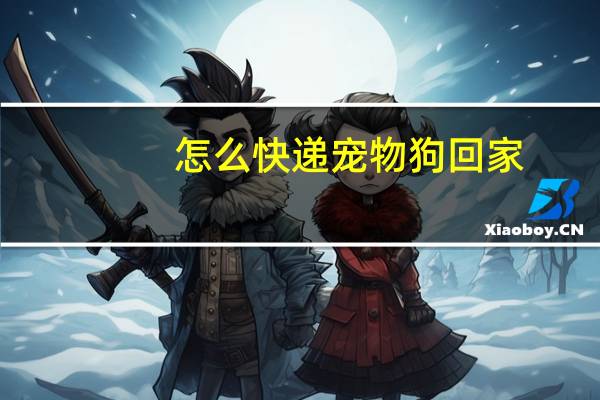 怎么快递宠物狗回家