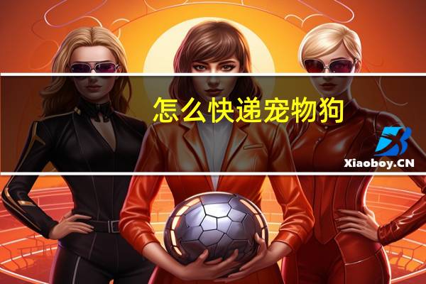 怎么快递宠物狗