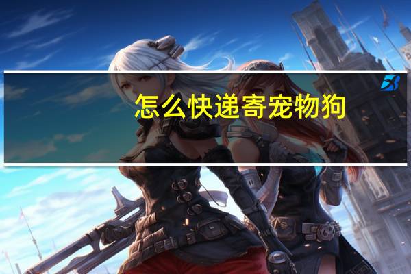 怎么快递寄宠物狗